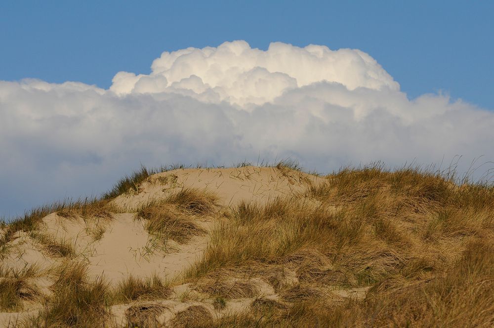 Schneebedeckte Gipfel an der dänischen Nordseeküste?