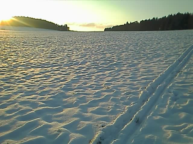 Schneebedeckte Wiese mit Langlaufspur