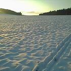 Schneebedeckte Wiese mit Langlaufspur