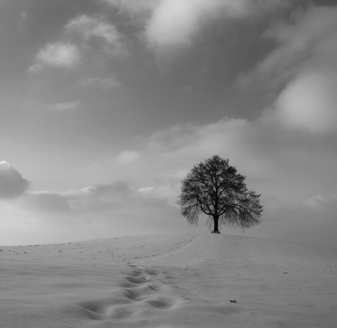 Schneebedeckter Acker