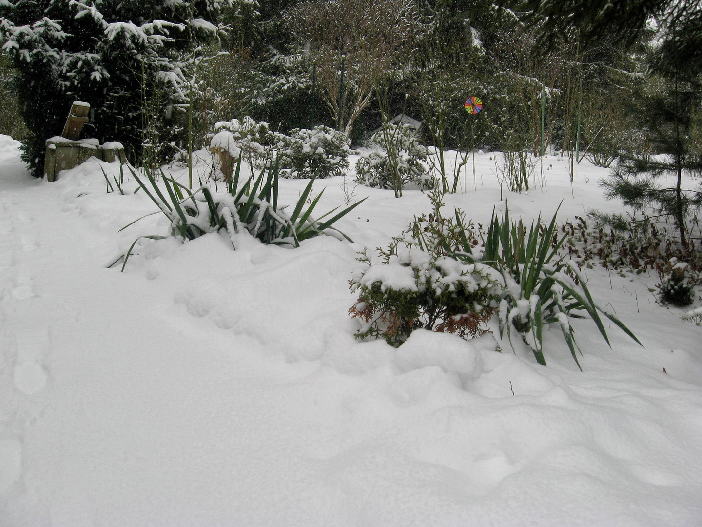 Schneebedeckter Garten