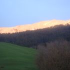 Schneebedeckter Waldstreifen leuchtet im Abendrot