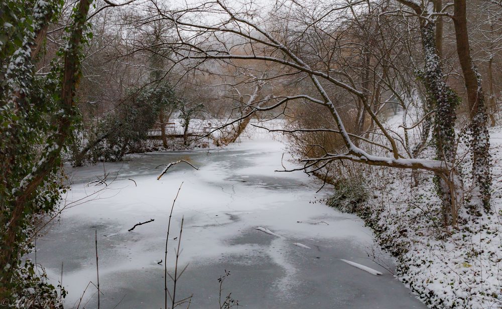 Schneebedeckter zugefrorener Teich