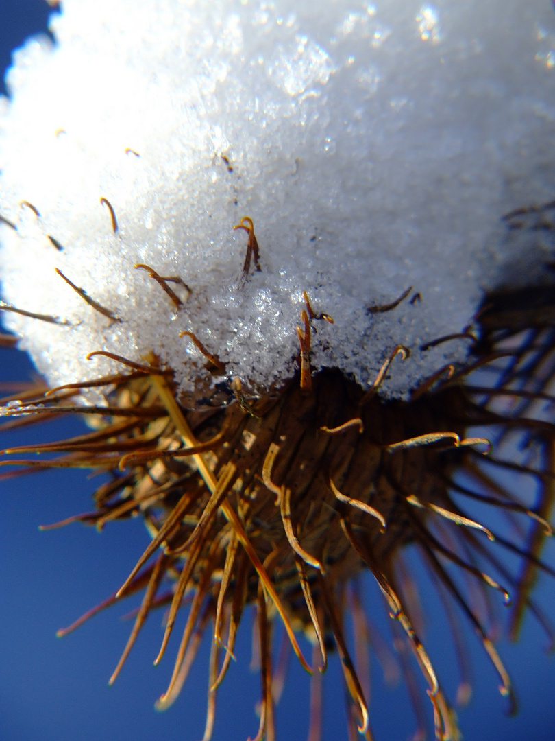 Schneebedecktes Etwas