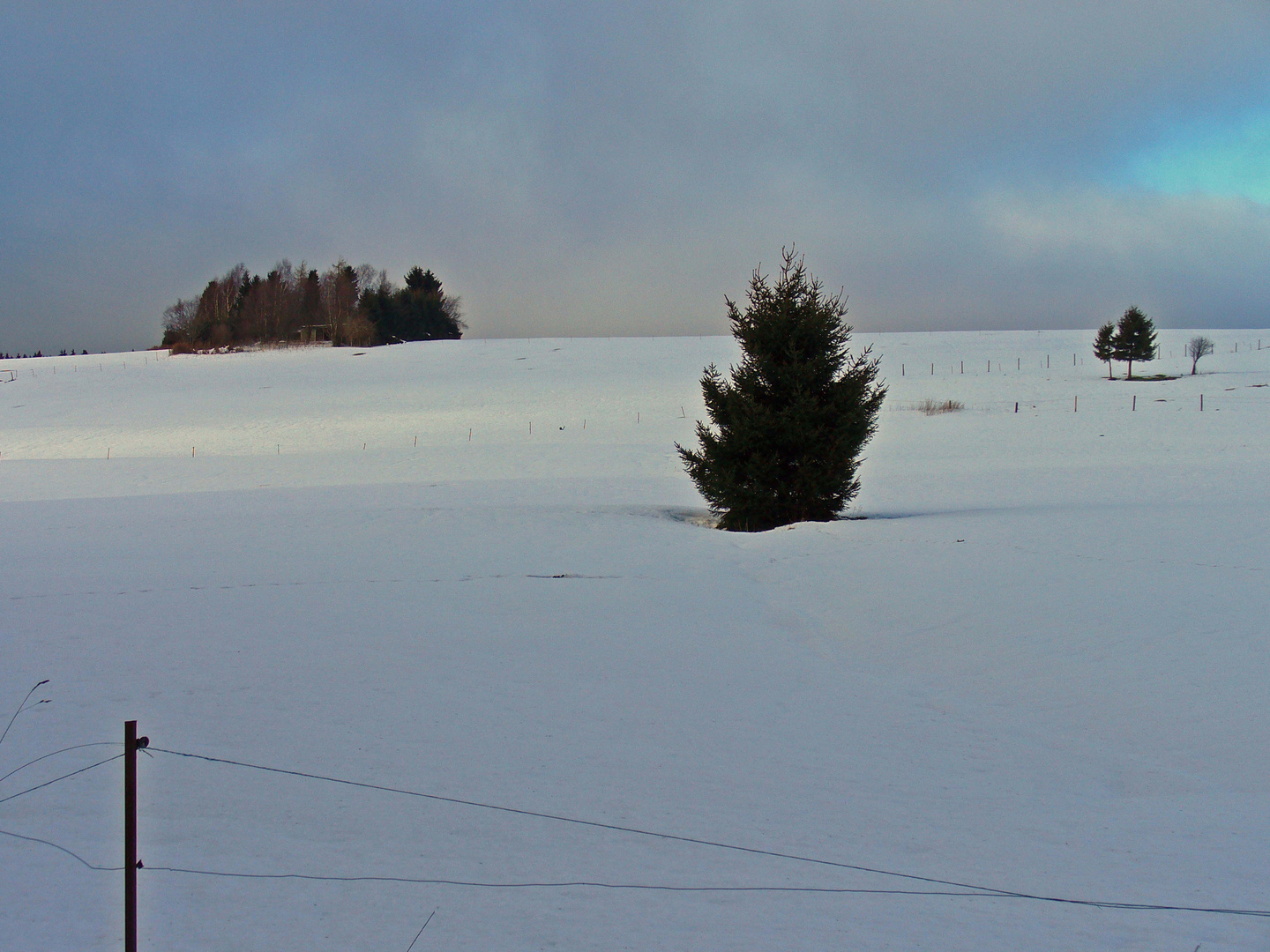 Schneebedecktes Feld bei Braunlage