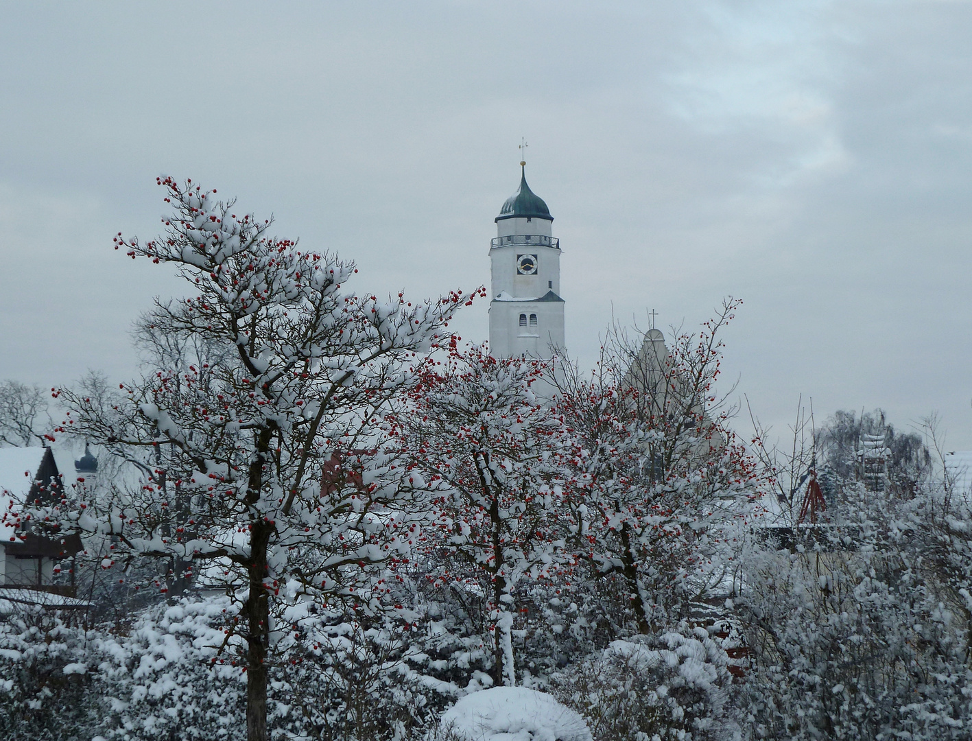 Schneebeeren