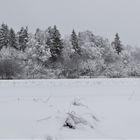 Schneebehangen -Frau Holle war' s