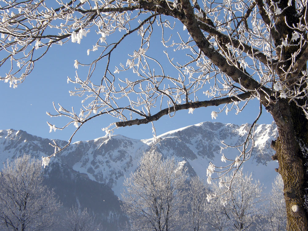 Schneeberg