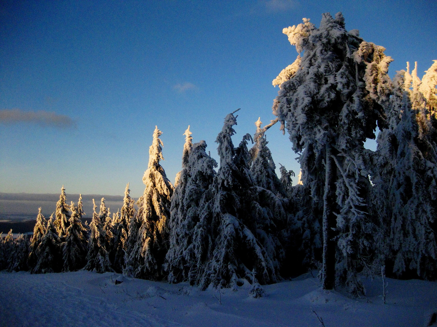 Schneeberg-Impression