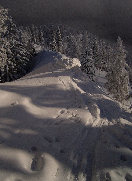 Schneeberg, Lower Austria (17.XII.2007)