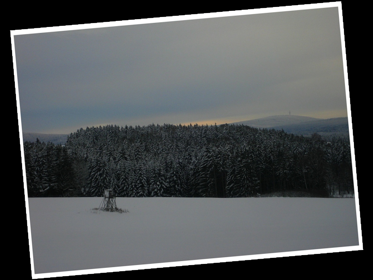 Schneebergblick bei Metzlesdorf