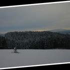 Schneebergblick bei Metzlesdorf