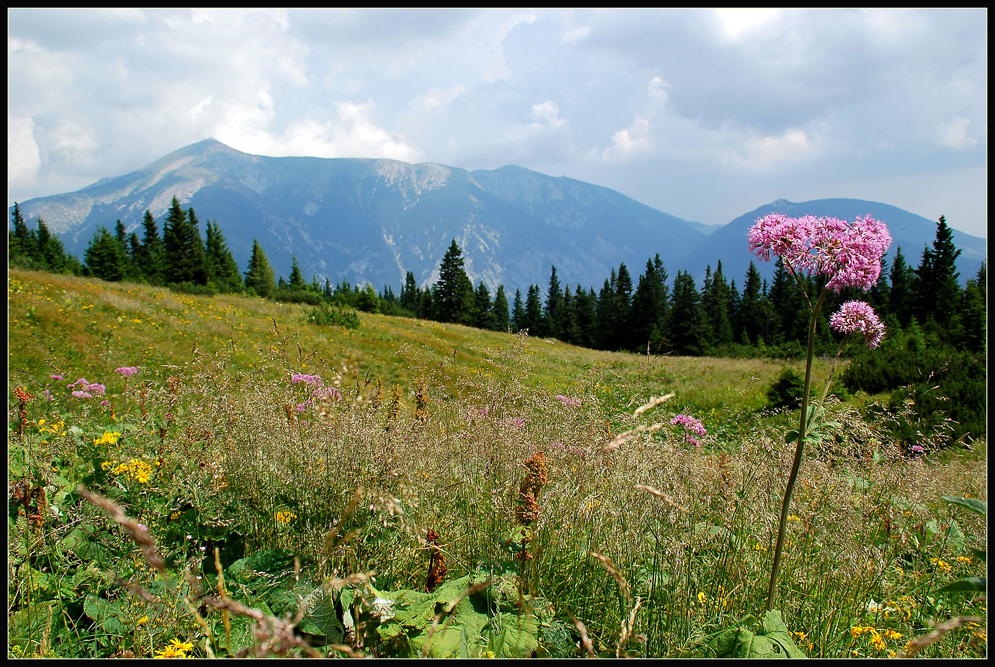 Schneebergblick...