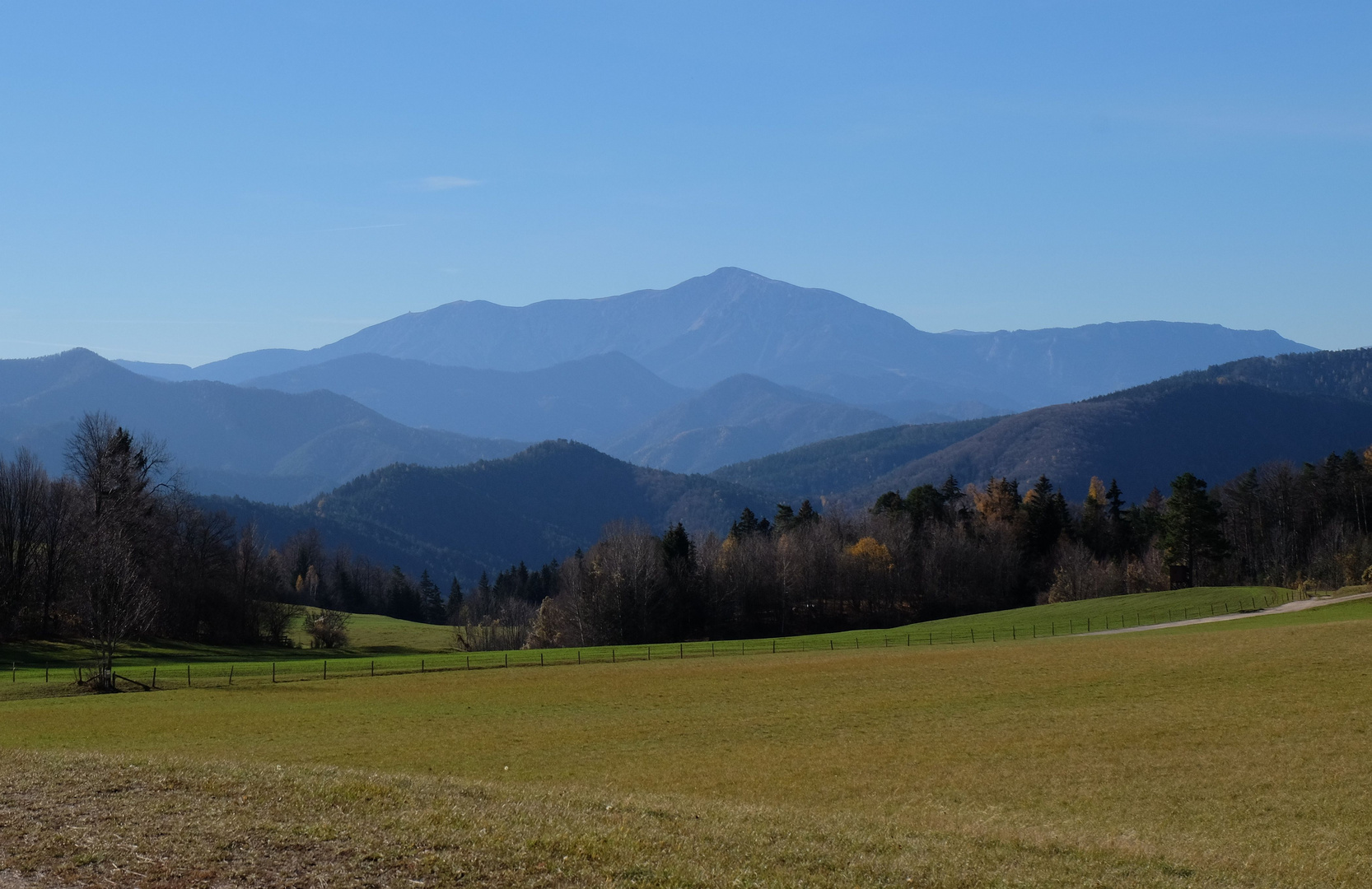 Schneebergblick...