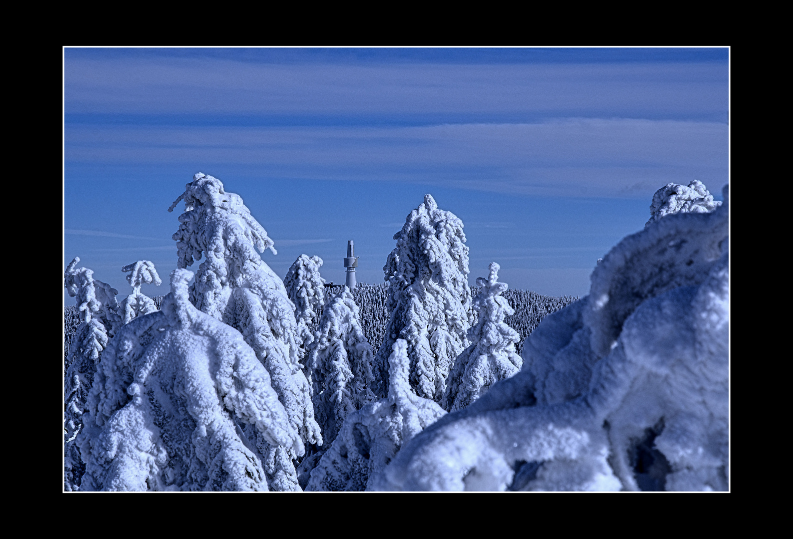 - Schneebergblick -