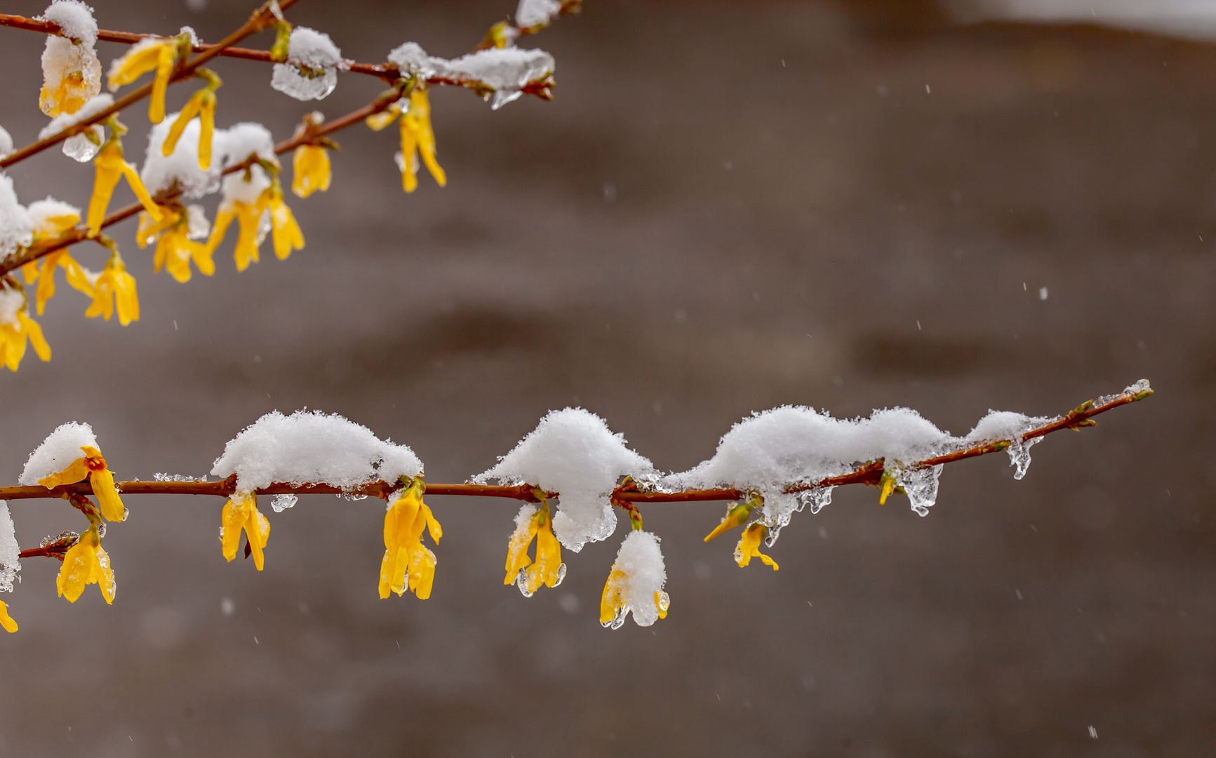 schneeberge im April