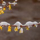 schneeberge im April