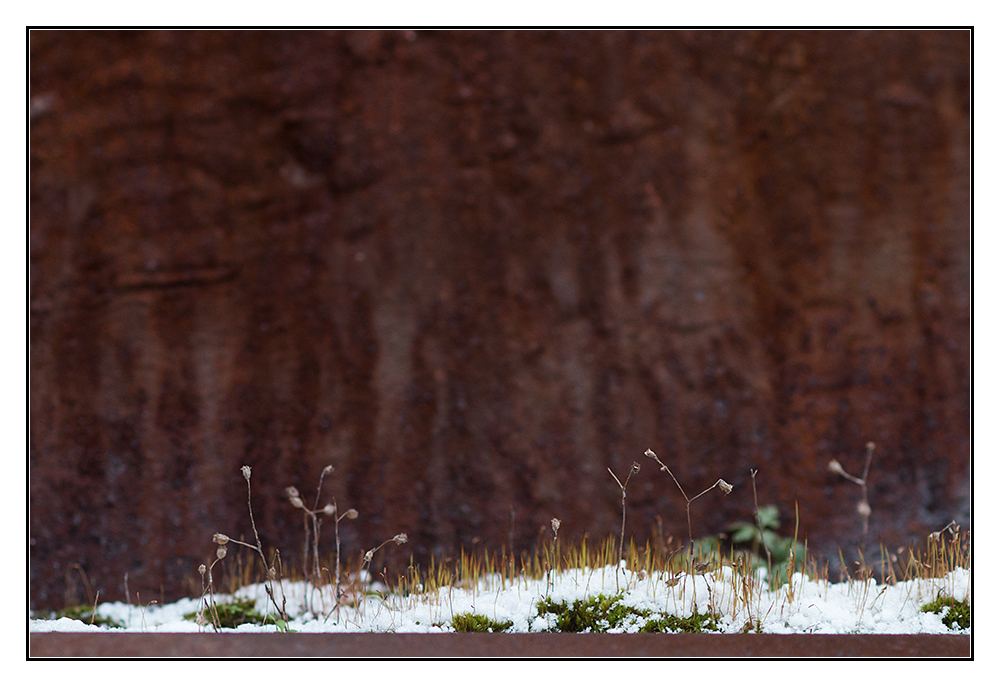 Schneeberge und Rost