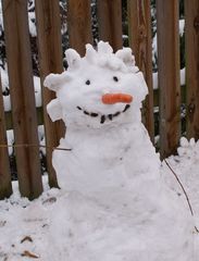 Schneebert