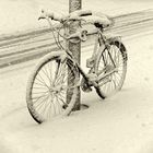 Schneebike