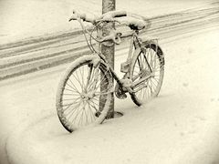 Schneebike