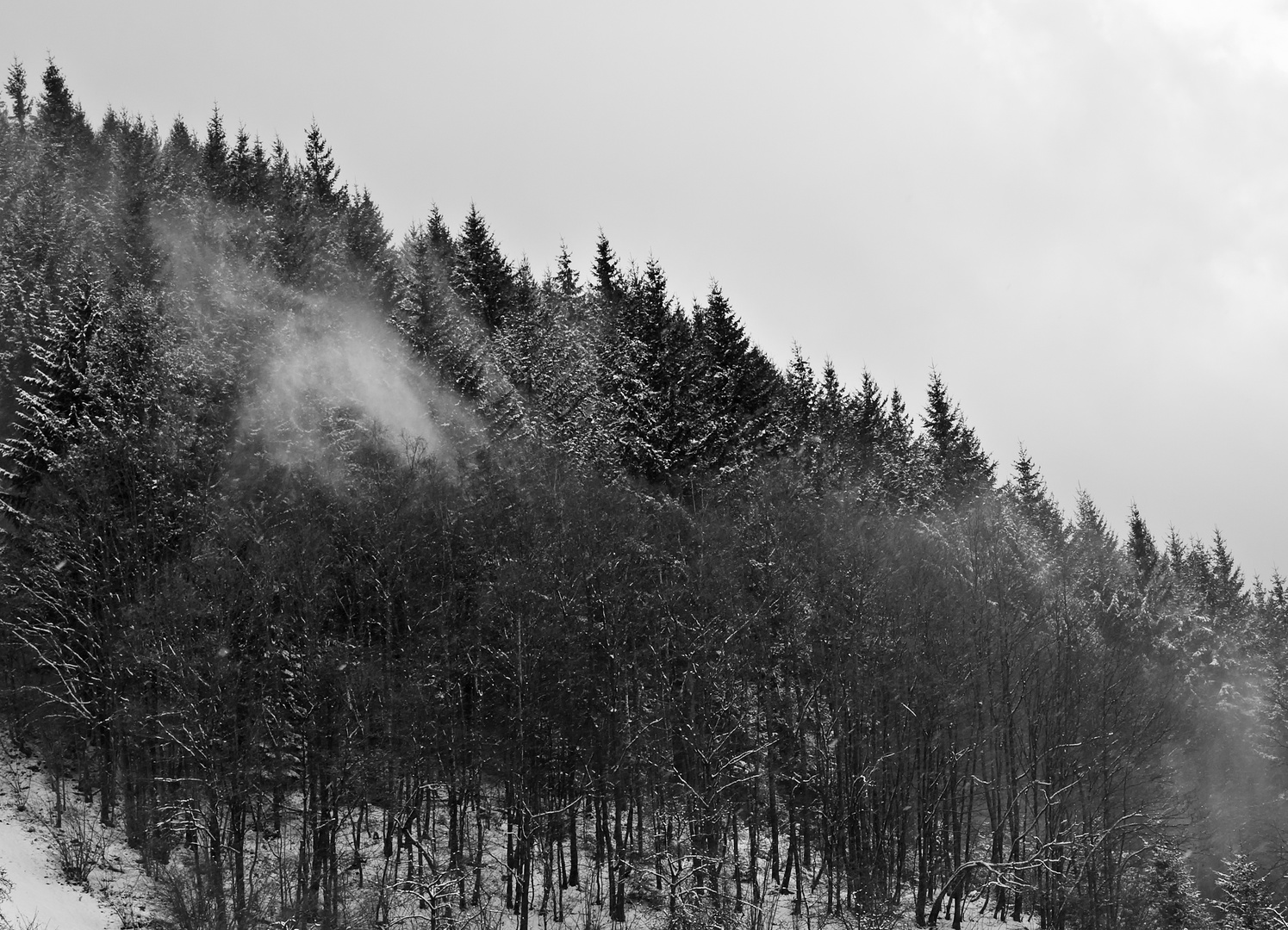 Schneeblasen - Le vent souffle la neige