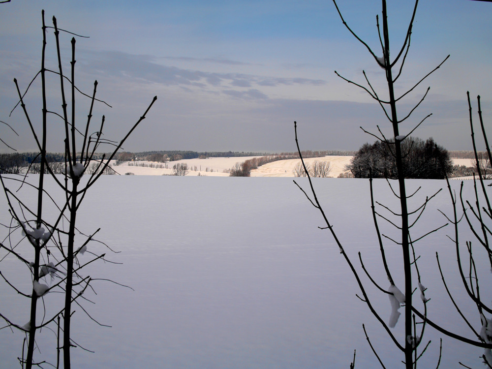 SCHNEEBLAU