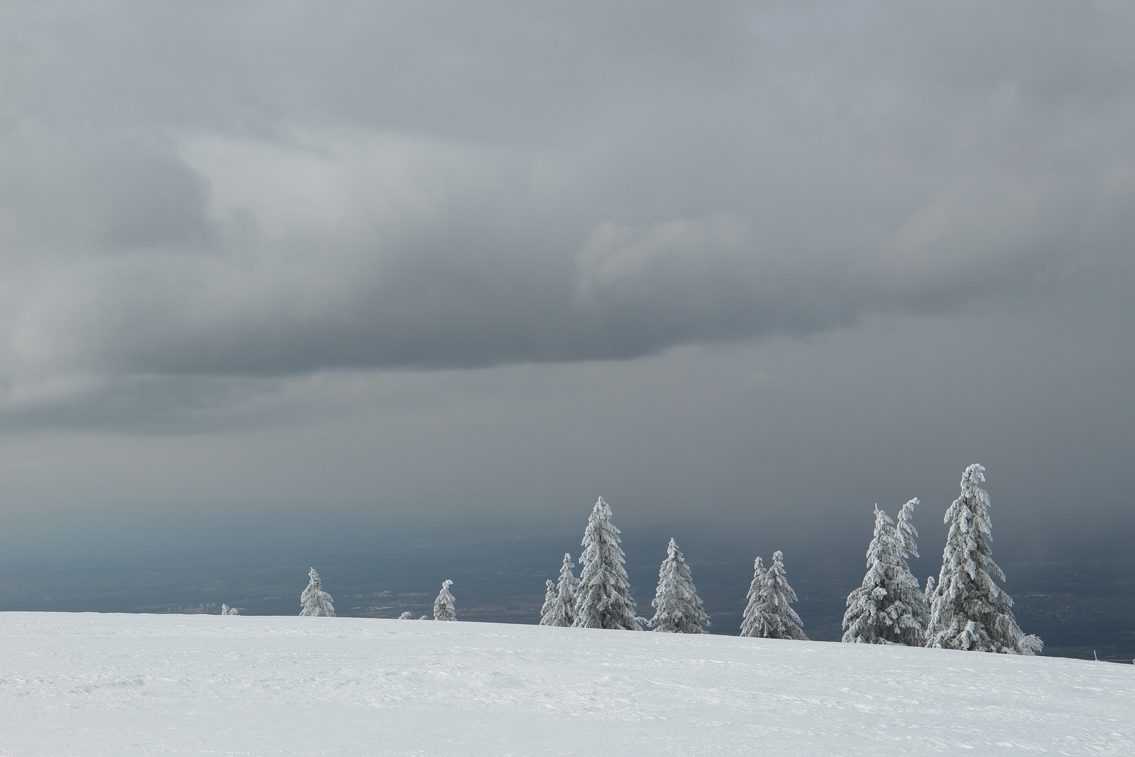 schneeblau