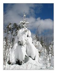 Schnee...blauer Himmel und Sonne....