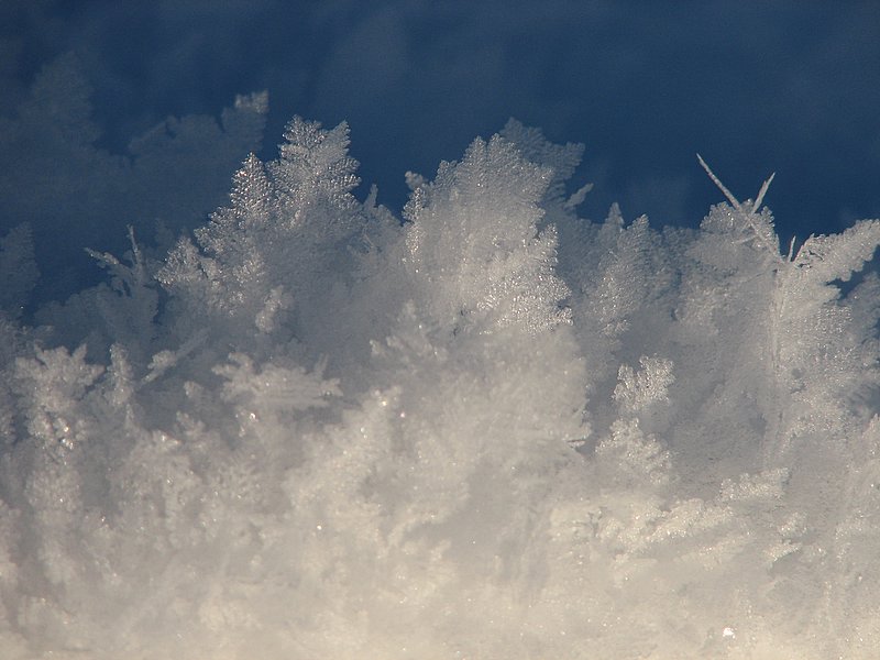 Schneeblumen.............