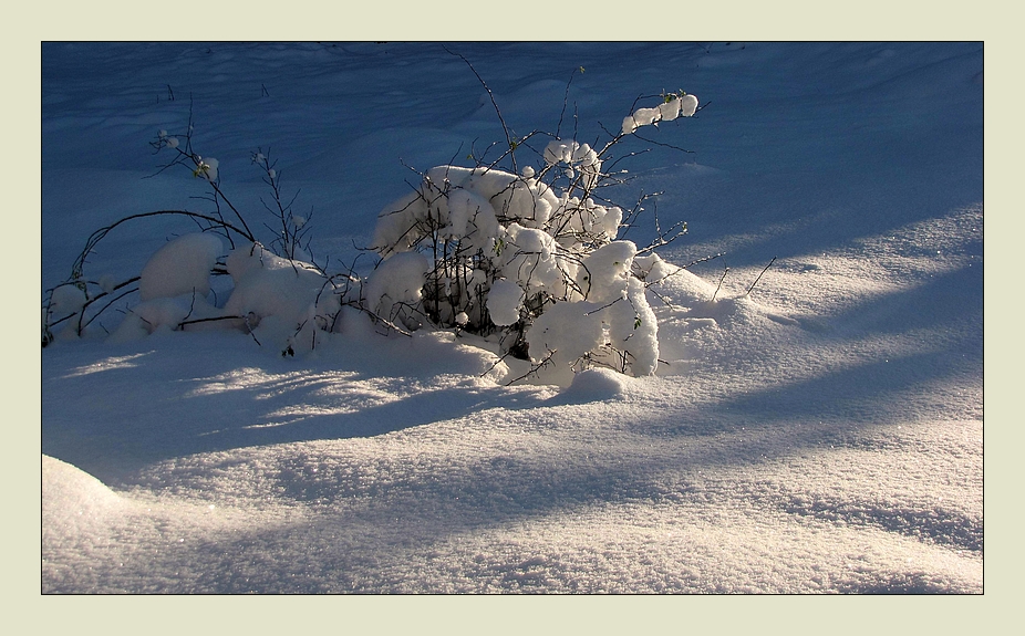 schneeblumen.