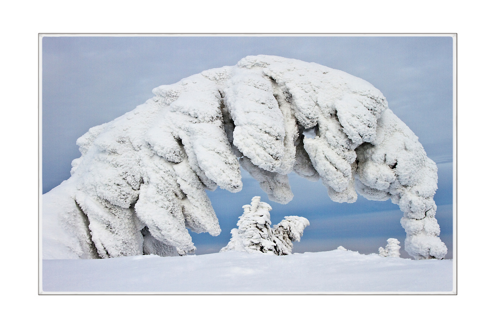 Schneebogen