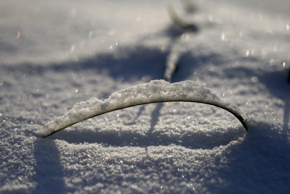 Schneebogen