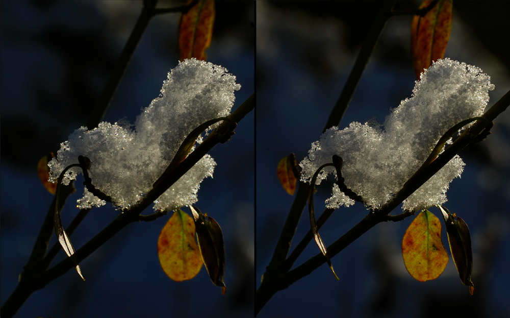 Schneebollen (3D-X-View Freihand ChaCha)