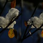 Schneebollen (3D-X-View Freihand ChaCha)