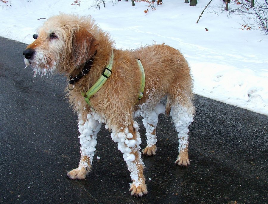 Schneebommel-Stiefel