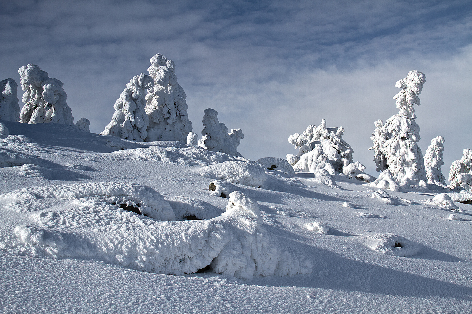 Schneebrocken Harz