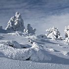 Schneebrocken Harz