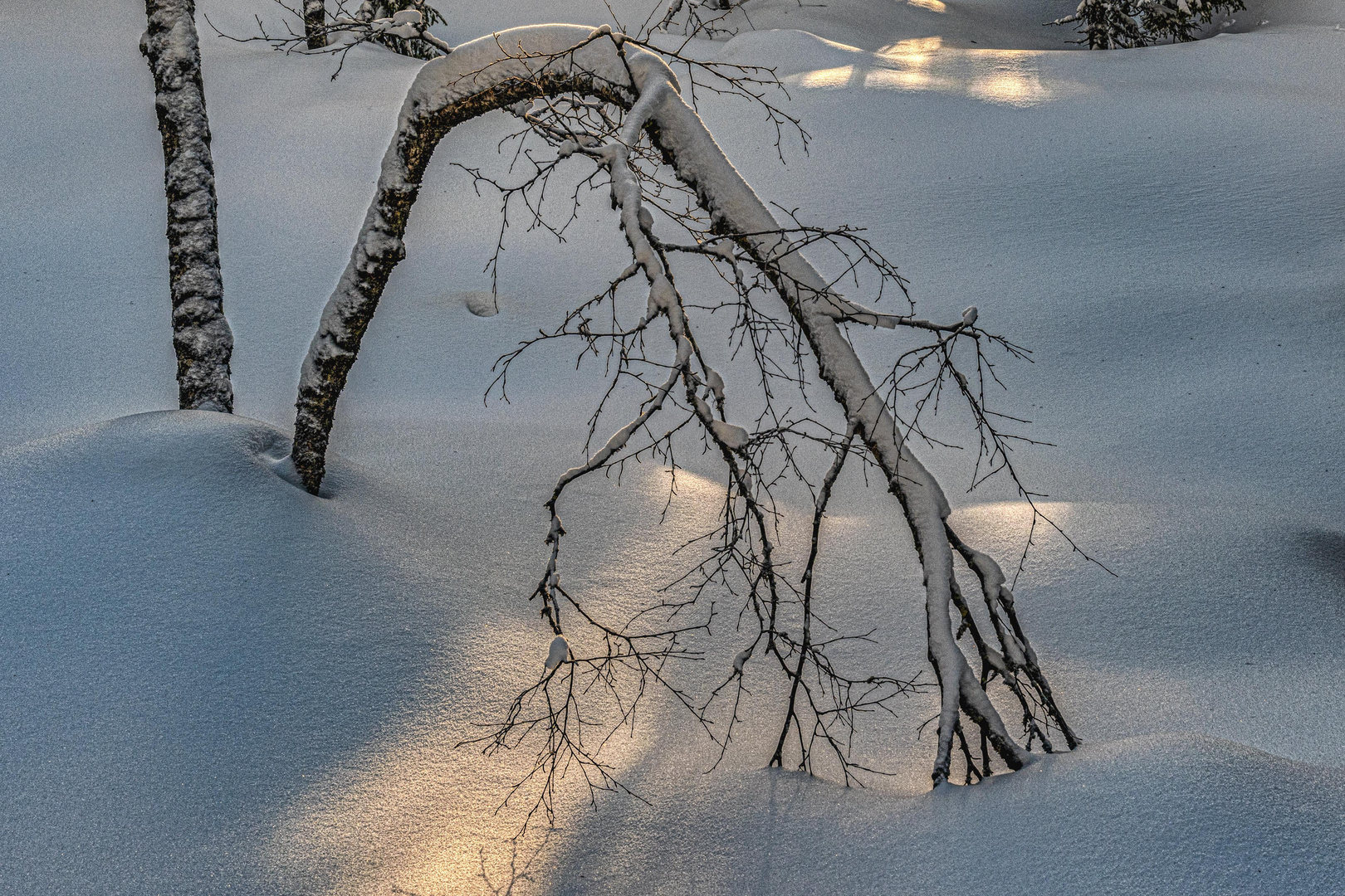 Schneebruecke