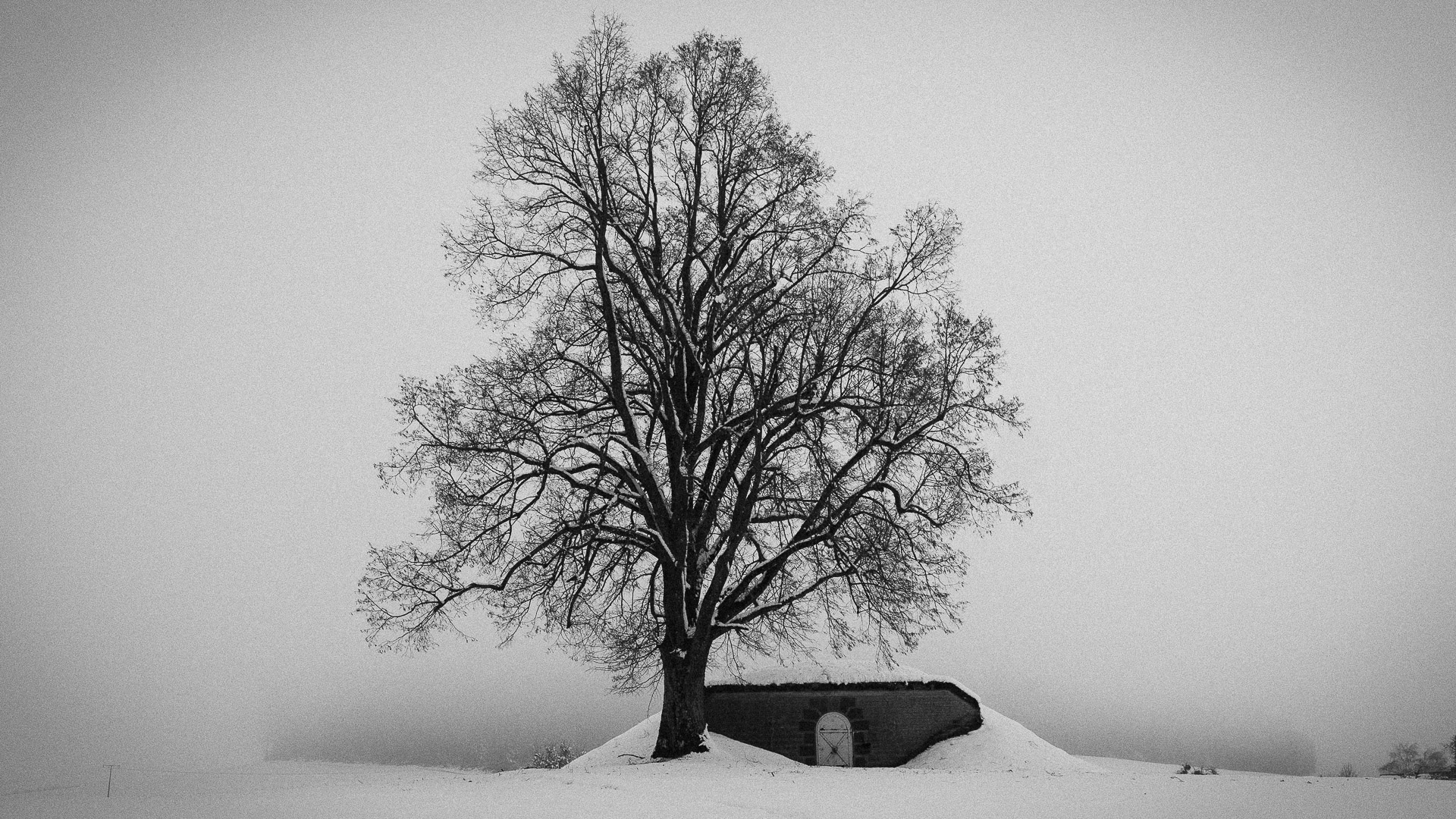 Schneebunker