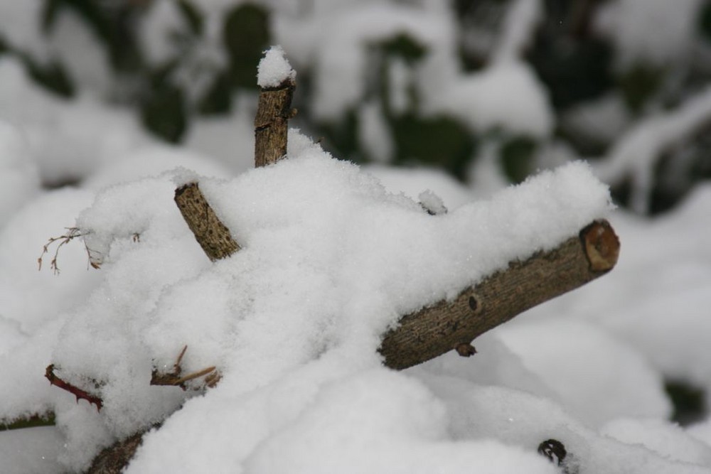 Schneechaos im Saarland, wenn man nicht mit dem Auto unterwegs ist, hat der Winter ne gute Seite