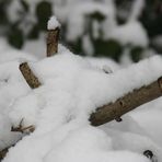 Schneechaos im Saarland, wenn man nicht mit dem Auto unterwegs ist, hat der Winter ne gute Seite