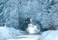 Schneechaos in Niederbayern