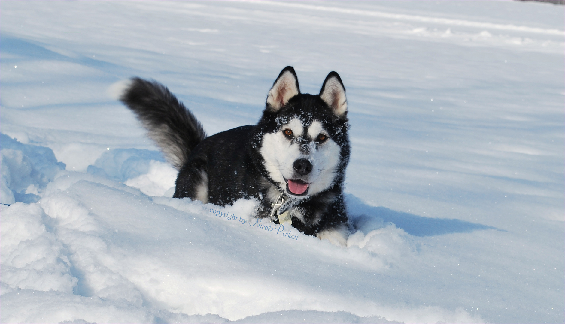 Schneechaot