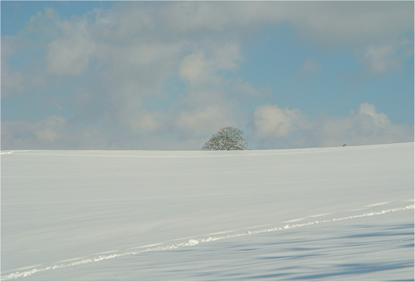 SCHNEE...DAS WAR GESTERN (Archiv 2006)