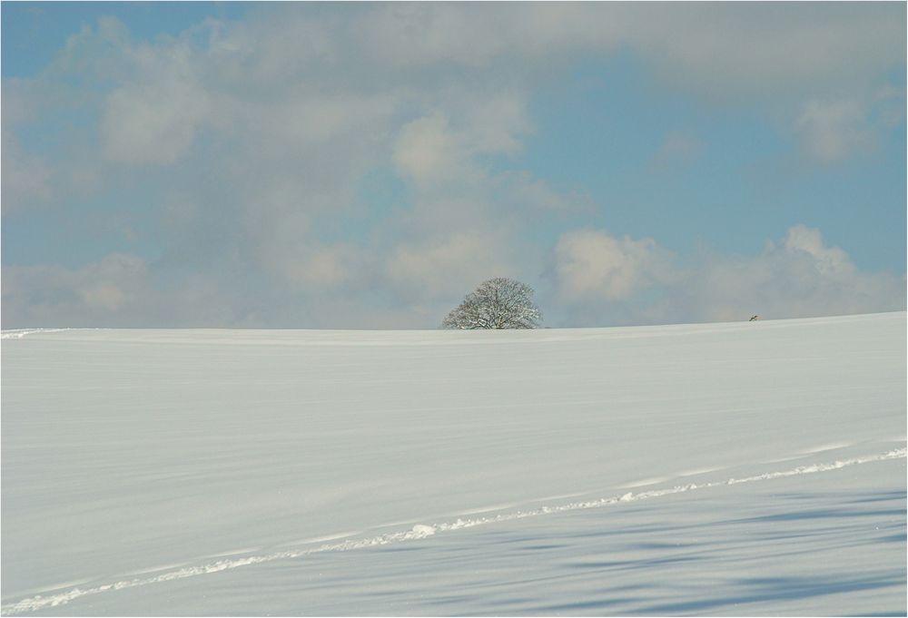 SCHNEE...DAS WAR GESTERN (Archiv 2006)