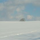 SCHNEE...DAS WAR GESTERN (Archiv 2006)