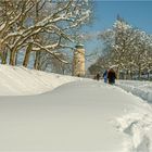 SCHNEE...das war gestern.