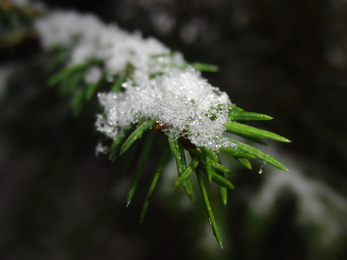 Schneedecke