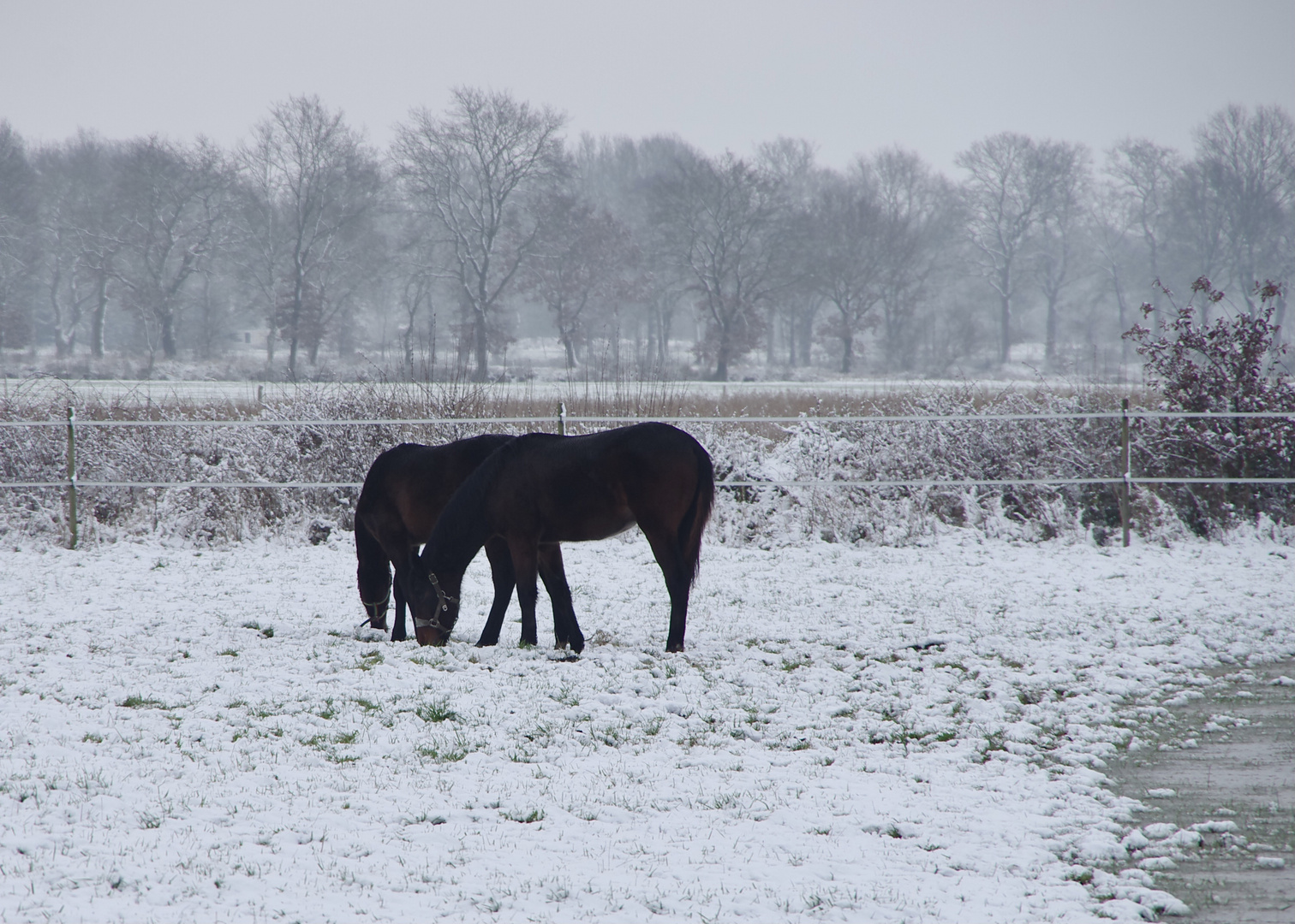 Schneedecke...